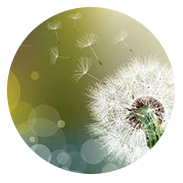 Psychotherapie marseille des valeurs